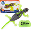HEX BOTS Wall Crawler Gecko RC Robot Toy