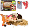 Jurassic World Interactive Baby Dinosaur Toy